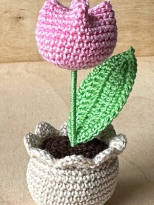 mini-tulp